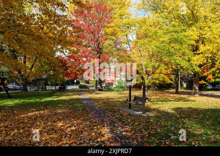 Saint-Bruno-de-Montarville, Quebec, Kanada - 15. Oktober 2022 : Parc des Bouleaux (Birch Park), Ahornbäume werden im Herbst rot. Stockfoto