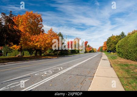 Blick auf die Straße von Saint-Bruno-de-Montarville, Ahornrot im Herbst. BD de Boucherville, Saint-Bruno-de-Montarville, Quebec, Kanada. Stockfoto