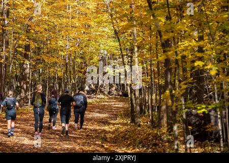 Im Mont-Saint-Bruno Nationalpark ( Parc National du Mont-Saint-Bruno ) werden die Ahornbäume im Herbst rot, gelb und orange. Saint-Bruno-de-Mo Stockfoto