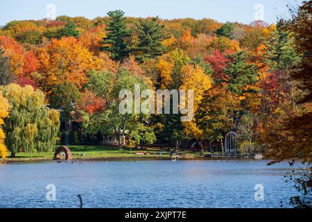 Lac du Moulin (See Moulin), Parc National du Mont-Saint-Bruno (Nationalpark Mont-Saint-Bruno), Ahornbäume werden im Herbst rot, gelb und orange. Saint Stockfoto