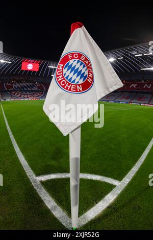 Innenraum des Stadions, Übersicht, Eckfahne, Logo, Anzeigetafel, Champions League, Allianz Arena, München, Bayern, Deutschland Stockfoto