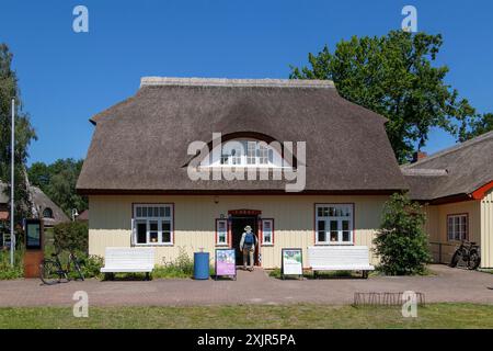 Reetdachhaus, Prerow Touristeninformation, Darss, Mecklenburg-Vorpommern, Deutschland Stockfoto