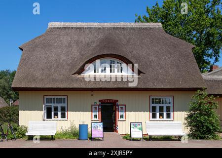 Reetdachhaus, Prerow Touristeninformation, Darss, Mecklenburg-Vorpommern, Deutschland Stockfoto