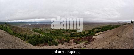 Land und Bäume in der Nähe der Kennecott Mine in Wrangell-St. Elias National Park und Preserve in Alaska an einem Sommertag. Stockfoto