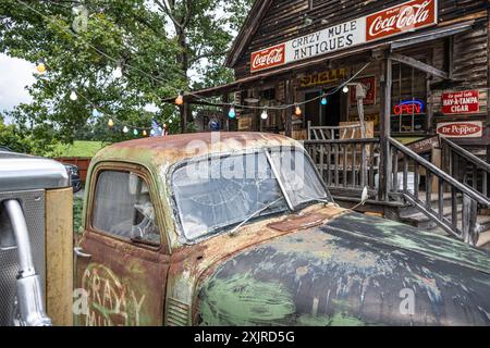 Crazy Mule Arts & Antiques in einem Gemischtwarenladen von 1909 Lula, Georgia, in den Ausläufern der Blue Ridge Mountains. (USA) Stockfoto