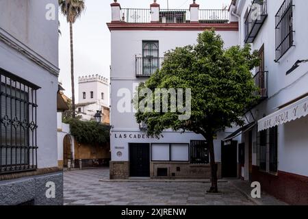 Detail über Santa Cruz, das wichtigste Touristenviertel von Sevilla, Spanien, und das ehemalige jüdische Viertel der mittelalterlichen Stadt im historischen Zentrum Stockfoto