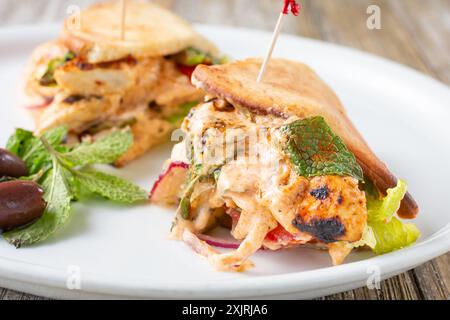 Eine Nahaufnahme einer Hühnchen-Kabob-Pita-Verpackung. Stockfoto