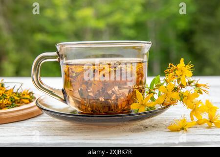 Hypericum perforatum, auch bekannt als Johanniskraut, Johanniskraut oder Johanniskraut Kräutertee in Glas auf weißem Holzbrett. Stockfoto