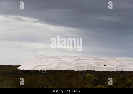 Wanderdüne in der Nähe der Jurien Bay an der Türkisküste von WA. Stockfoto