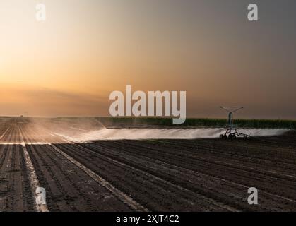 Landwirtschaftliches Bewässerungssystem zur Bewässerung des Maisfeldes am sonnigen Frühlingstag. Stockfoto