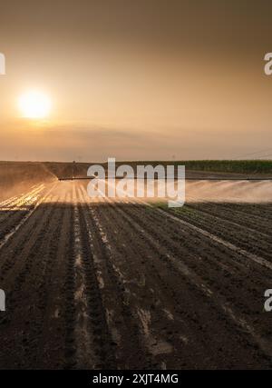 Landwirtschaftliches Bewässerungssystem zur Bewässerung des Maisfeldes am sonnigen Frühlingstag. Stockfoto