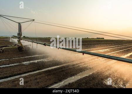 Landwirtschaftliches Bewässerungssystem zur Bewässerung des Maisfeldes am sonnigen Frühlingstag. Stockfoto