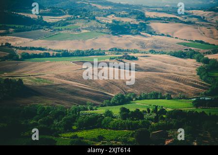 Ein Blick aus der Vogelperspektive auf die sanften Hügel der Toskana, Italien, mit einer kurvenreichen Straße durch die Felder. Die Landschaft ist ein Flickenteppich aus grünen Feldern, braun hil Stockfoto