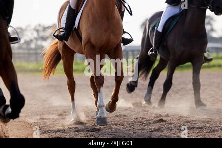 Menschen auf Pferden, Beinen und Rennen für Sport, Reittraining und Wettkämpfe auf dem Land. Vollblut-Tiere, Jockeys und rennen Stockfoto