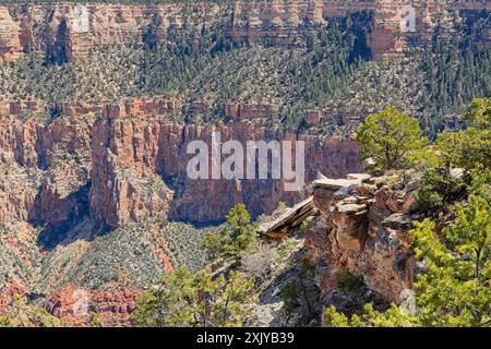 Gestreifte Schichten von erodierendem Sedimentgestein der Grand Canyon-Wand Stockfoto