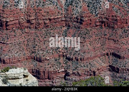 Gestreifte Schichten erodierenden Sedimentgesteins im Grand Canyon Stockfoto