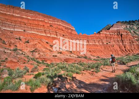 Wanderer am Lighthouse Trail mit Blick auf die geologischen Schichten der Caprock Escarpment, einschließlich Gipsgängen, im Palo Duro Canyon State Park, Texas, USA Stockfoto