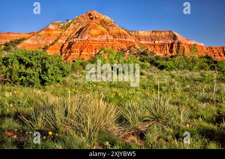 Capitol Peak, Blick vom Lighthouse Trail, Palo Duro Canyon State Park, Texas, USA Stockfoto