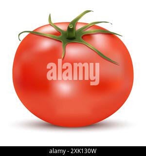 Vektorabbildung. Ernährungskonzept. Realistisches Bild mit roter Tomate Stock Vektor