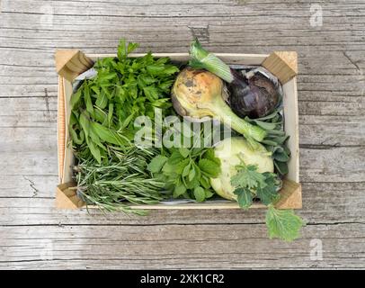 Draufsicht auf die Box mit Gemüse und Kräutern Stockfoto