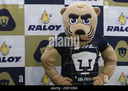 Mexiko-Stadt, Mexiko. Juli 2024. Pumas Maskottchen „Goyo“ während einer Pressekonferenz zur Präsentation der neuen Mitglieder der Pumas de la UNAM Soccer Team. Am 19. Juli 2024 in Mexiko-Stadt. (Foto: Jose Luis Torales/ Credit: Eyepix Group/Alamy Live News Stockfoto