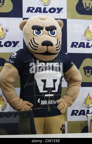 Mexiko-Stadt, Mexiko. Juli 2024. Pumas Maskottchen „Goyo“ während einer Pressekonferenz zur Präsentation der neuen Mitglieder der Pumas de la UNAM Soccer Team. Am 19. Juli 2024 in Mexiko-Stadt. (Foto: Jose Luis Torales/ Credit: Eyepix Group/Alamy Live News Stockfoto