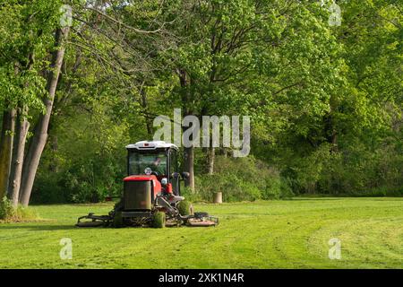 Professioneller Gärtner, der grünes Gras auf einem Rasenmäher im Park schneidet. Hochwertige Fotos Stockfoto