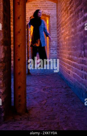 Isfahan, Iran, 06.30.2023: SI-o-se-pol Bridge, Allahverdi Khan Bridge at Night. Stockfoto