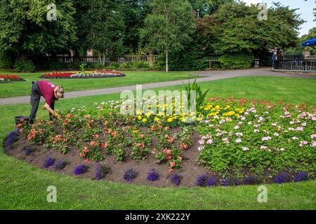 Die Gärtner des Rates jäten und pflegen die formellen Blumenbeete und Gärten des Beacon Parks in Staffordshire City of Lichfield Stockfoto