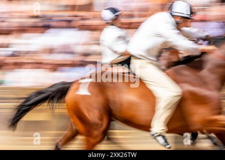 Am ersten Tag des Palio nehmen ortsansässige Jockeys und Pferde an Einer Reihe von „Batterien“ Teil. (Trials") Auf Der Piazza, Dem Palio, Siena, Italien. Stockfoto