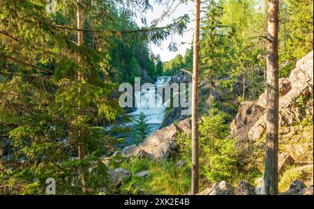 Wasserfall am Fluss Suna im Kivach-Reservat in Karelien Stockfoto