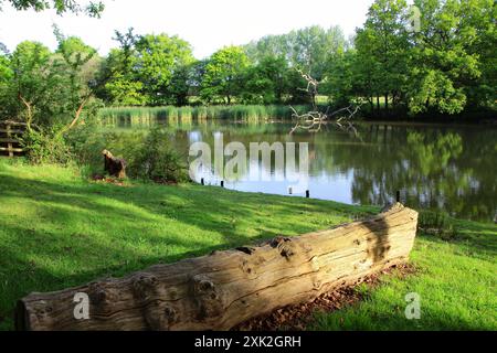 Wunderschöne Landschaft eines Sees im Windsor Great Park Stockfoto