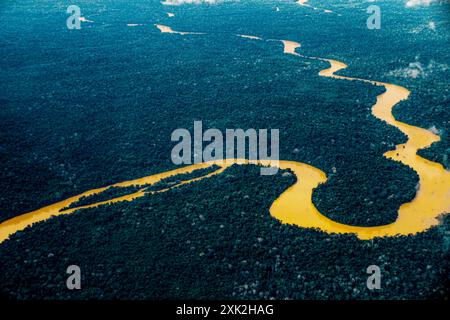 Blick aus der Vogelperspektive auf Amazonas Regenwald, Flusskurven und dichten Wald mit hoher Artenvielfalt. Acre State, Brasilien. Stockfoto