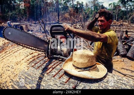 Protokollierung, Amazonas Regenwald Abstand, Arbeiter fällten Bäume mit Kettensäge in einem Hieb-und-verbrannten Flecken des Waldes. Morgen Zustand, Brasilien. Stockfoto