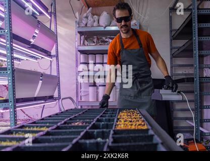 Ein Mann in einem orangefarbenen T-Shirt und einer gestreiften Schürze stellt die Beleuchtung über Mikrogrün-Tabletts in einer vertikalen landwirtschaftlichen Umgebung ein und zeigt eine moderne Landwirtschaft Stockfoto