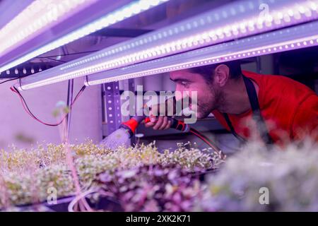 Ein junger Mann in einem roten Hemd bewässert aufmerksam Mikrogrün mit einer Handspritze in einer vertikalen Innenfarm, beleuchtet von LED-Lampen Stockfoto