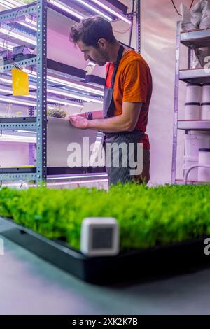 Ein Mann untersucht aufmerksam ein Tablett mit jungen Mikrogrün unter künstlichem Licht, in einem vertikalen Indoor-Landwirtschaftsbetrieb, um die nachhaltige Landwirtschaft zu präsentieren Stockfoto