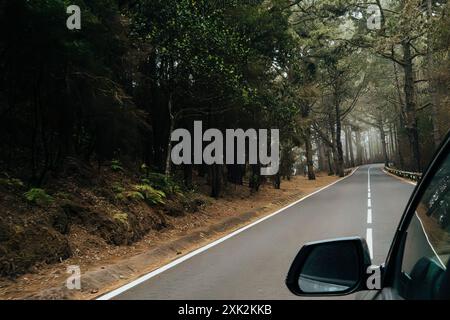 Ein fesselnder Blick durch ein Autofenster auf eine gewundene Straße, umgeben von hoch aufragenden Bäumen in einem nebeligen, dichten Wald, perfekte Darstellung einer ruhigen Summe Stockfoto