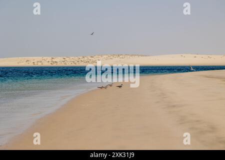 Katar Binnensee Stockfoto