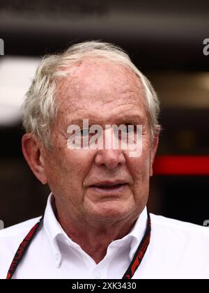 Budapest, Ungarn. Juli 2024. Helmut Marko vor dem F1 Grand Prix von Ungarn am 20. Juli 2024 in Ungarn bei Hungaroring. (Kreditbild: © Beata Zawrzel/ZUMA Press Wire) NUR REDAKTIONELLE VERWENDUNG! Nicht für kommerzielle ZWECKE! Stockfoto