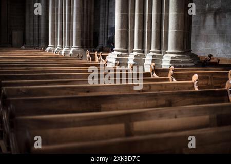 GENF, Schweiz - das atemberaubende architektonische Gebäude der Kathedrale Saint Pierre, eingebettet im Herzen der Genfer Altstadt. Aufgrund seiner langen Bauzeit, die mehrere Jahrhunderte umfasst, ist es ein bedeutendes Symbol für die reiche religiöse Geschichte der Stadt. Dies war auch die adoptierte Heimatkirche von Johannes Calvin, einem der Führer der protestantischen Reformation, was ihre historische und religiöse Bedeutung weiter unterstreicht. Stockfoto