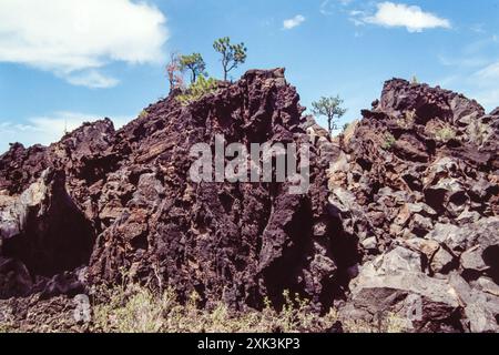 September 1990: Der Bonito-Lavastrom brach aus dem westlichen Grund des Sunset Crater aus, dem jüngsten Schlackenkegel im nördlichen San Francisco Vulkanfeld. Die Strömung am Sunset Crater Volcano National Monument ist etwa 1,5 Meilen (2,5 km) lang und besteht fast vollständig aus der sogenannten A'a Lava. Die Eruption, die den Sunset Crater bildete, ereignete sich vor etwa 1000 Jahren. Stockfoto