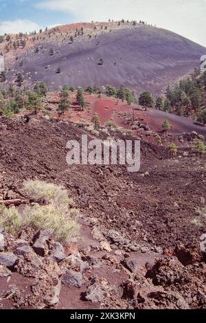 September 1990: Der Bonito-Lavastrom brach aus dem westlichen Grund des Sunset Crater aus, dem jüngsten Schlackenkegel im nördlichen San Francisco Vulkanfeld. Der Fluss ist etwa 1,5 Meilen (2,5 km) lang und besteht fast vollständig aus einer so genannten A'a-Lava. Die Eruption, die den Sunset Crater bildete, ereignete sich vor etwa 1000 Jahren. Im Hintergrund des Sunset Crater Volcano National Monument befindet sich der O'Leary Peak, eine ältere vulkanische Kuppel. Stockfoto