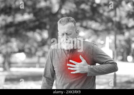 Senior Mann mit Schmerzen in der Brust im Freien. Herzerkrankungen Stockfoto