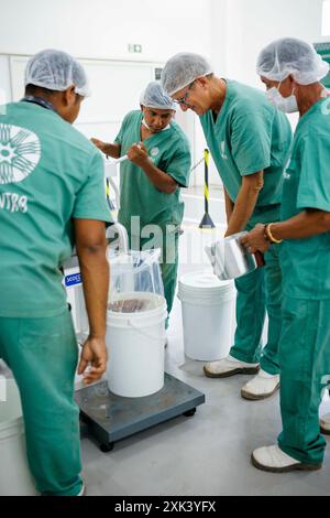 Mitarbeiter des Santarem Eco Centers bei Copaiba Oil Production. Santarem, 19. Juli 2024. Fotografiert im Auftrag des Bundesministeriums für wirtschaftliche Zusammenarbeit und Entwicklung Stockfoto