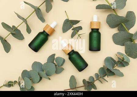 Flaschen mit ätherischem Öl und Eukalyptuszweigen auf beigem Hintergrund Stockfoto