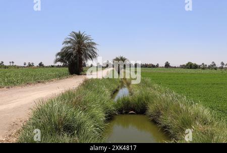 Ackerlandschaften in Oberägypten Stockfoto