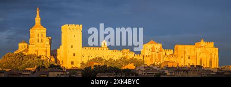 Ein breites 3:1 Panoramabild eines Sommerabends mit dem letzten Licht des Tages strahlt auf die Kathedrale von Avignon (Cathédrale Notre-Dame des Doms d'Avignon), Stockfoto