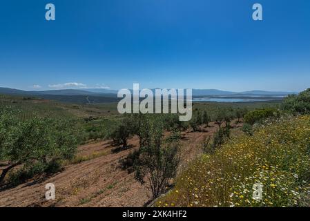 Landschaft am Gabriel y Galan Reservoir, Extremadura, Spanien Stockfoto