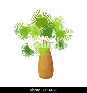 Tropische Palme mit dickem Stamm der Fassform und grünen Blättern auf Zweigen Vektorillustration Stock Vektor